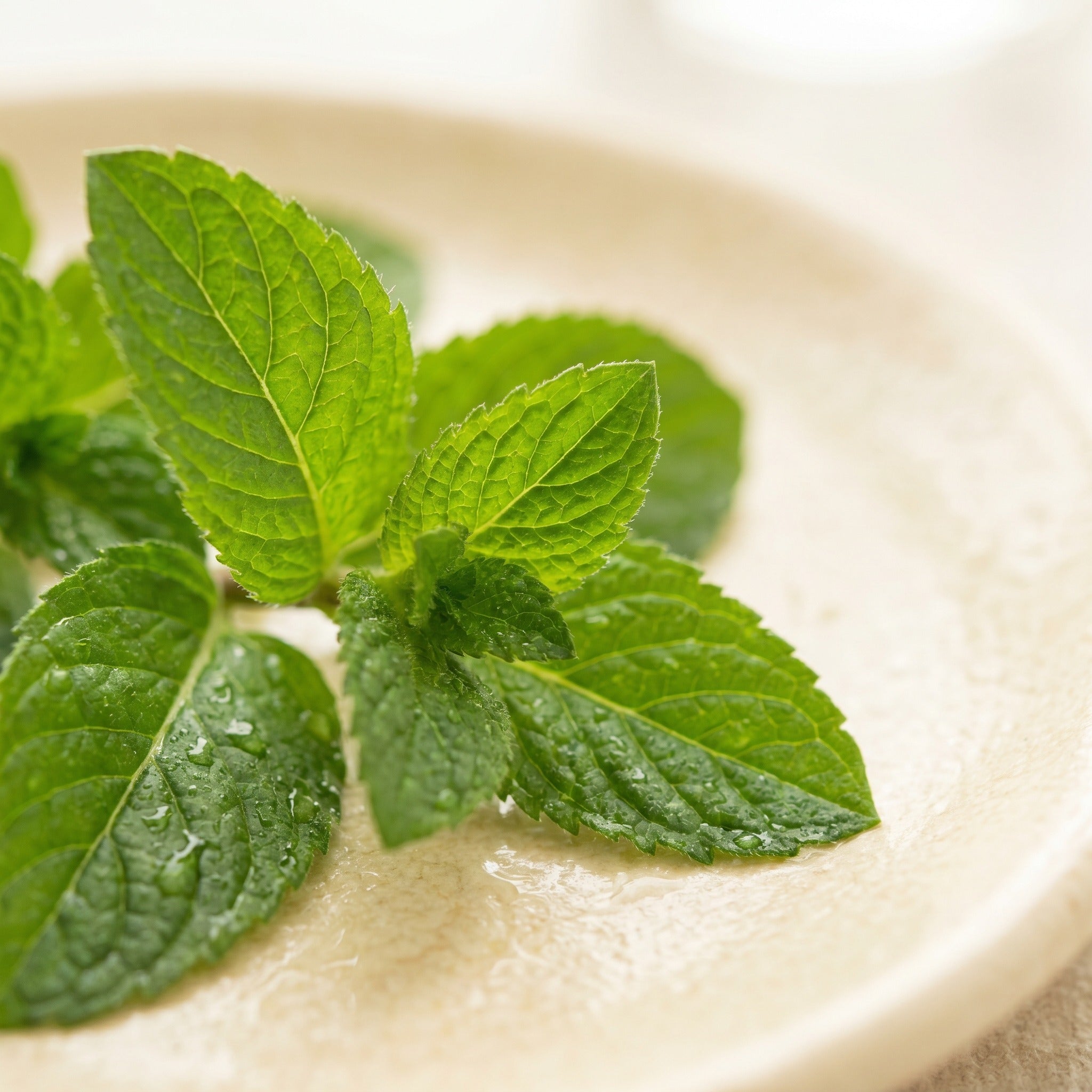 chewral ing 8 spearmint